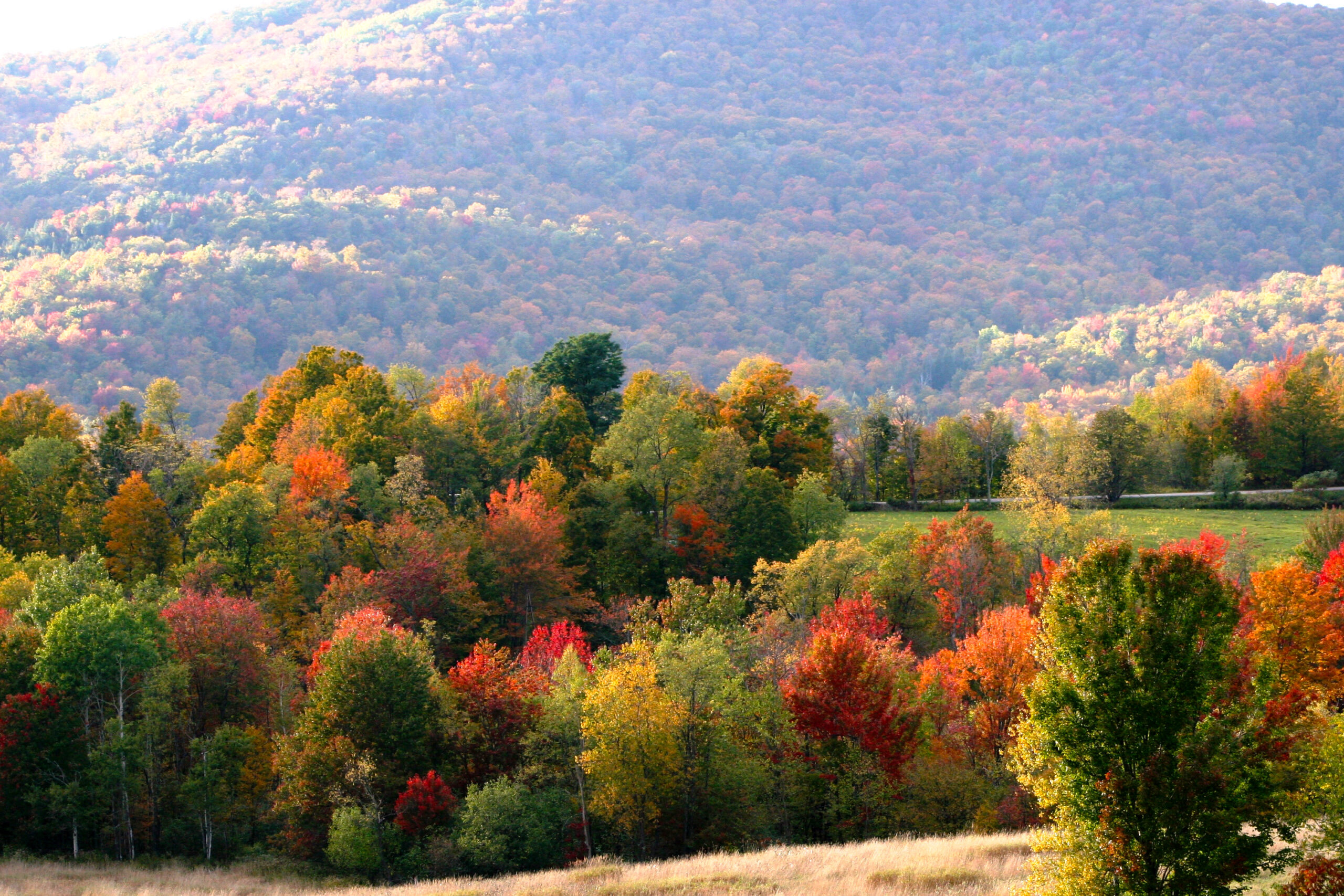 A Vermont hillside washed in fall colors